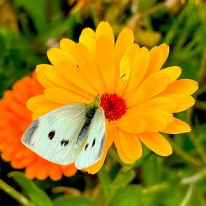 Meet your Posher. 💖